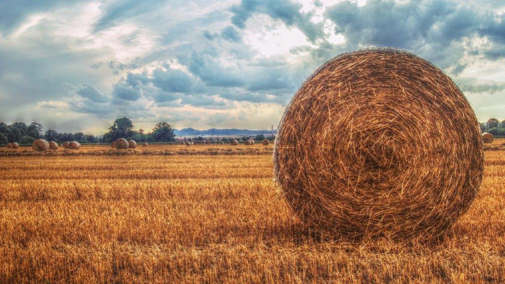 Mieszkasz na wsi i szukasz pracy?