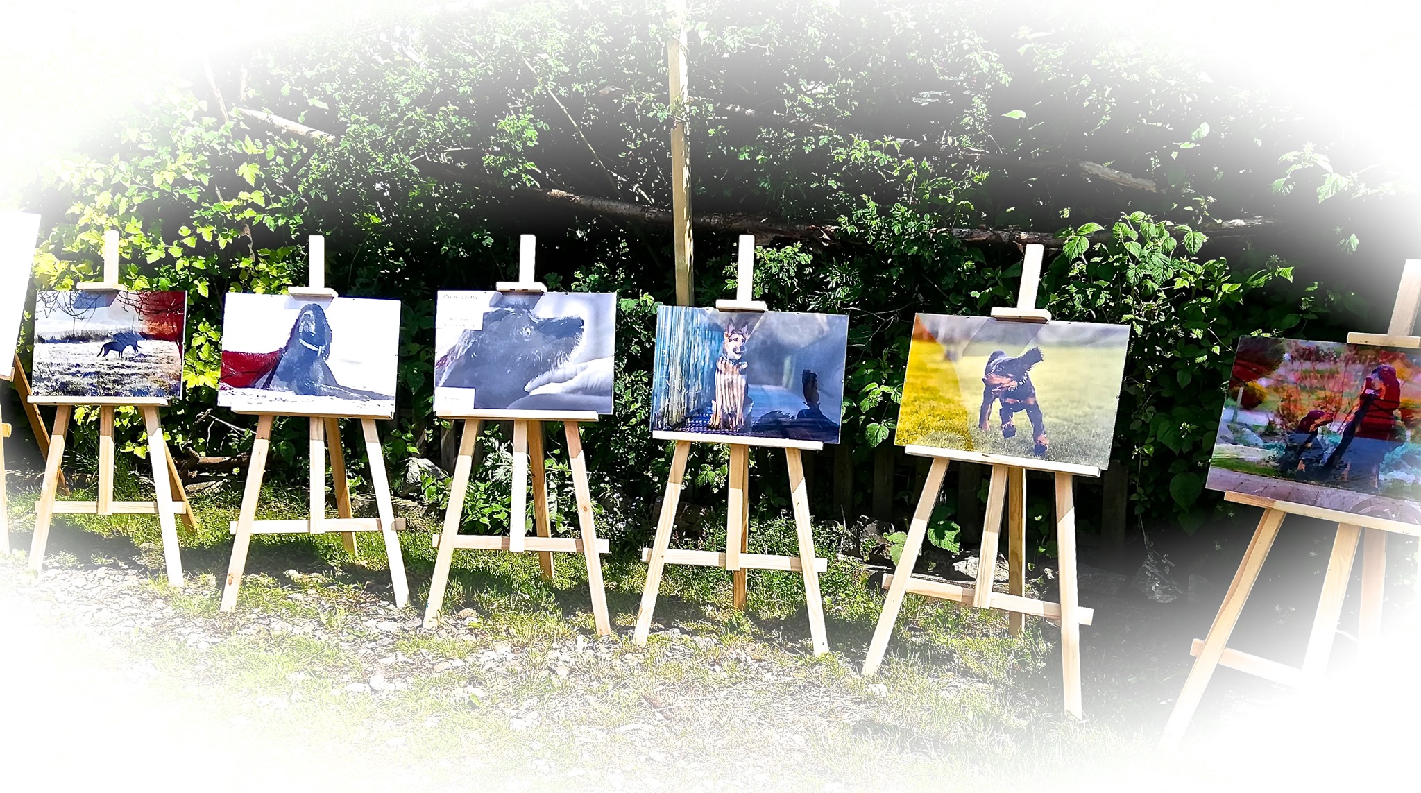 Wieczór ze sztuką i z sąsiadami – zaproszenie na cykl spotkań w Kamieńcu Ząbkowickim