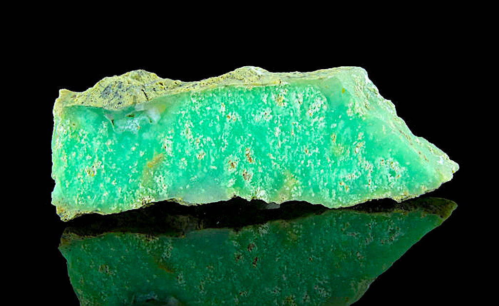 Dzień z chryzoprazem – dzisiaj pod Krzywą Wieżą