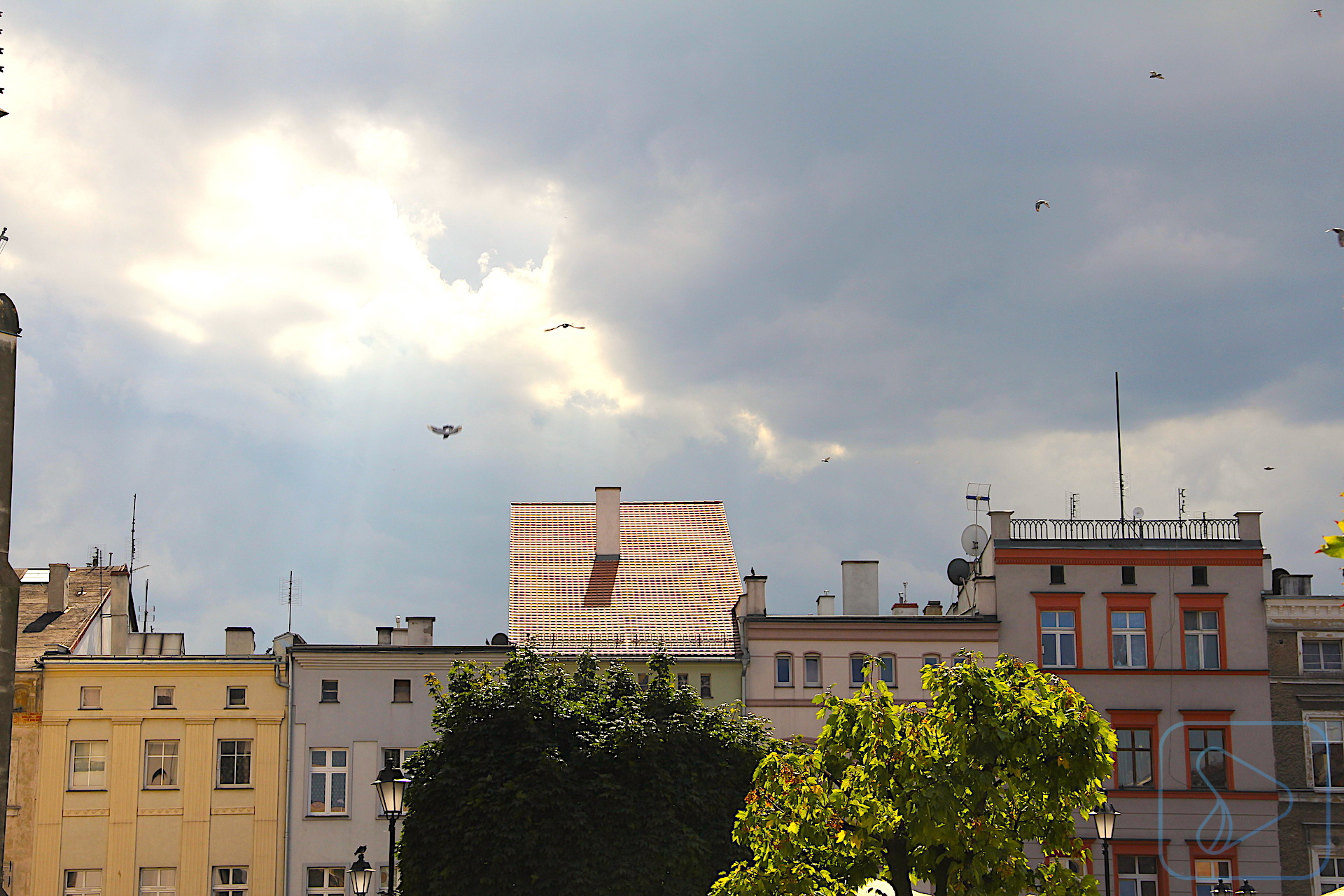 Jedno spojrzenie – wiele inspiracji