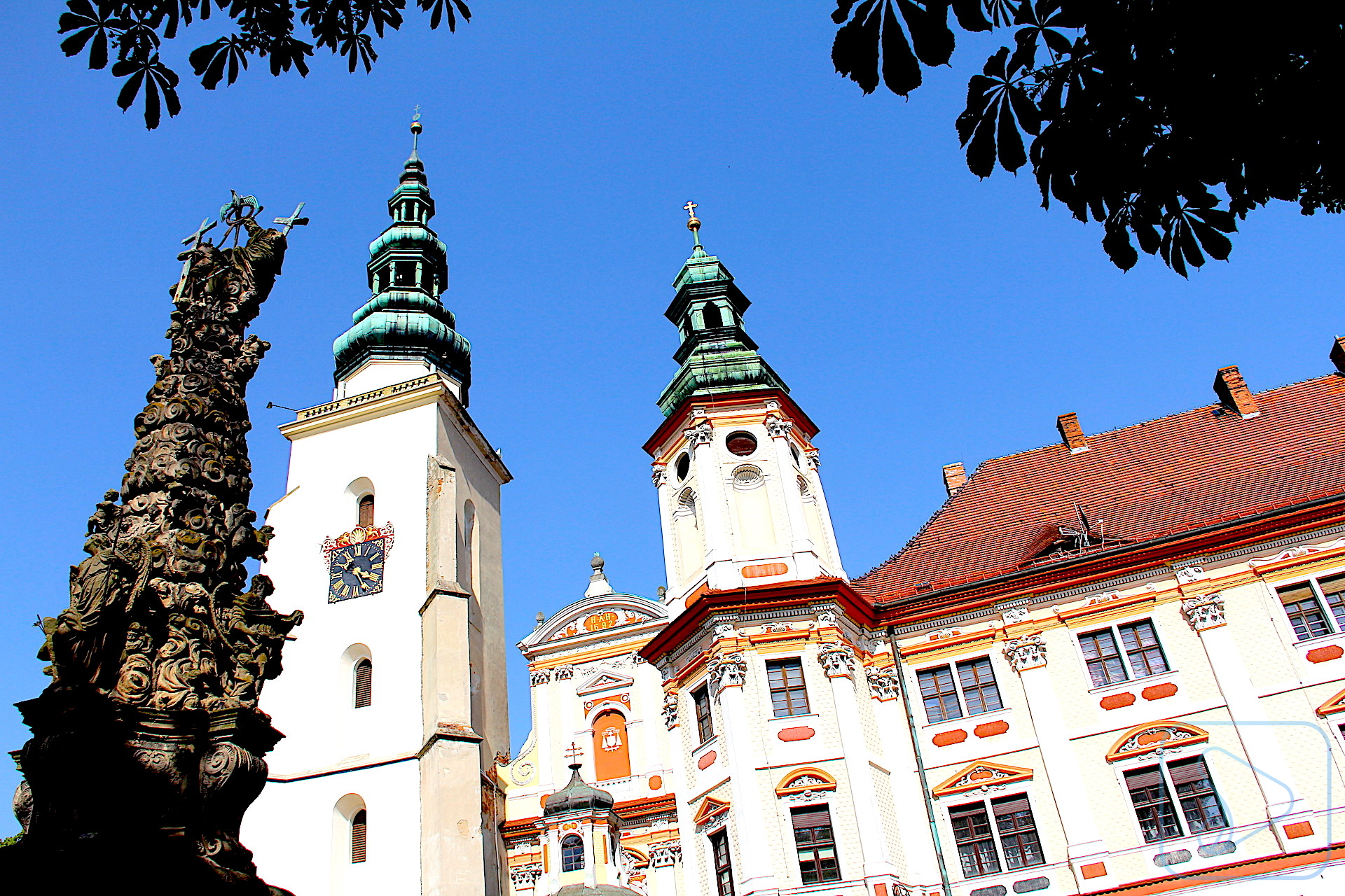 Człowiek jest obdarowany wolnością – może wybierać
