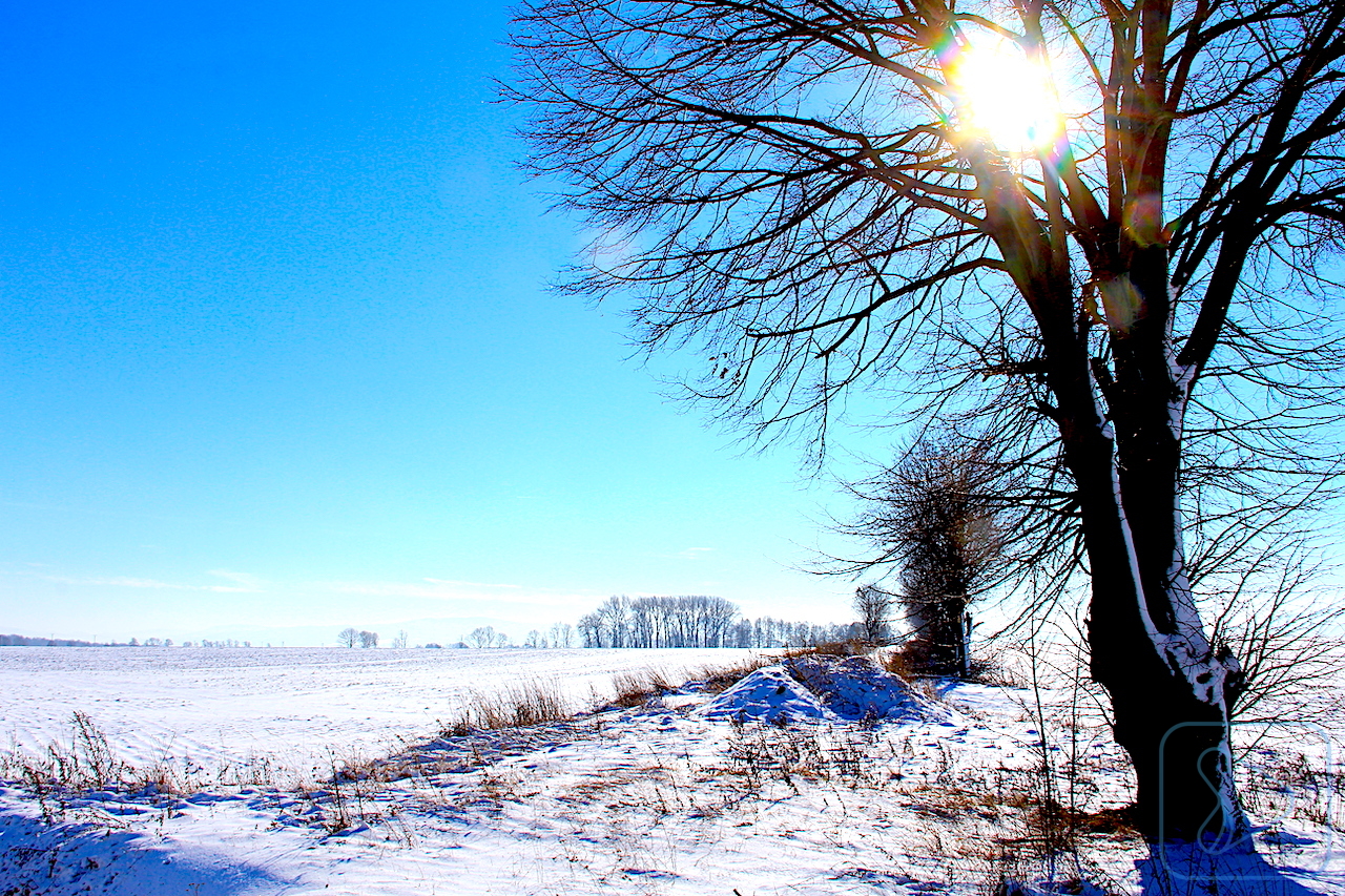 Dobrze jest znać cel i widzieć drogę, która do niego prowadzi