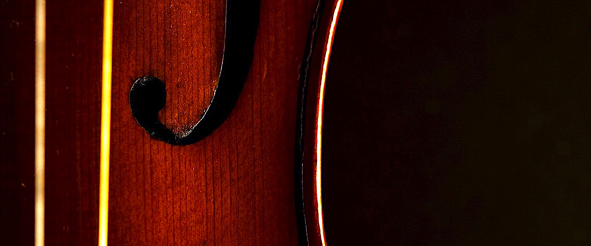 Echa romantyzmu – mnogość gatunków i ich ponadczasowość