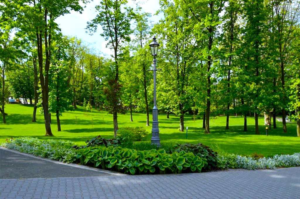 Możesz się zajmować terenami zielonymi – giełda pracy