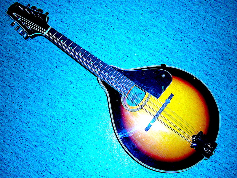 Na nowo powstanie Ziębicka Orkiestra Mandolinistów – zaproszenie