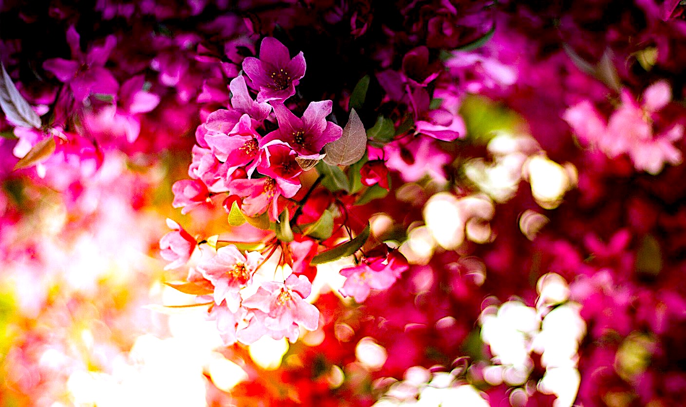 Wkrótce Dzień Babci i Dziadka – bardzo serdeczne zaproszenie