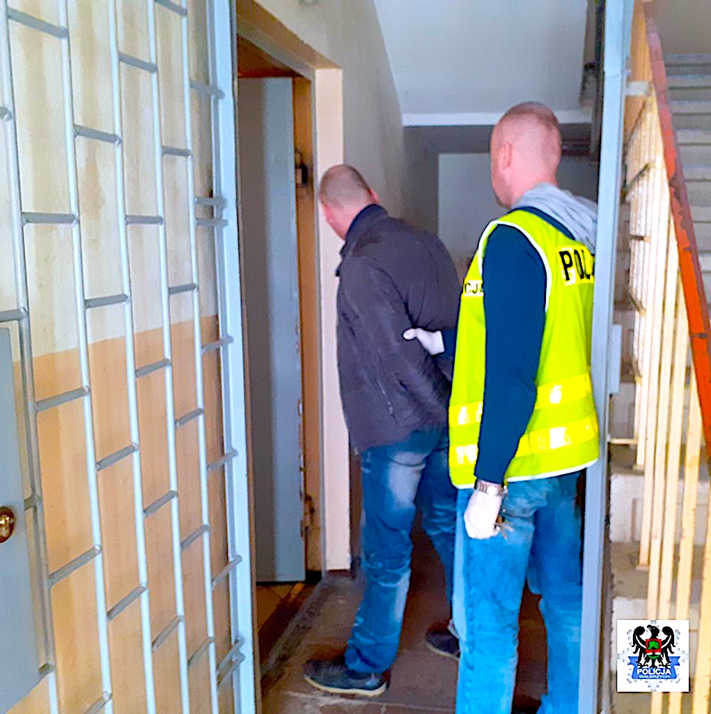 Bezwzględni i sprytni – udało się zatrzymać przestępcze procedery