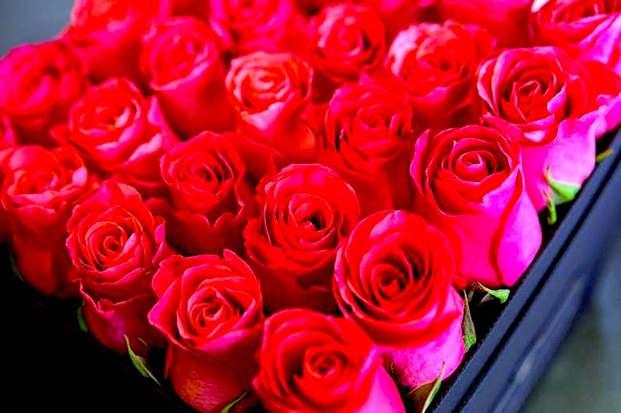 Kobieta rodzi się gwiazdom podległa i kwiatom