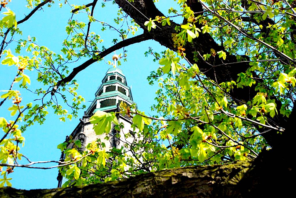 Potrzebna jest wiedza i zdrowy rozsądek – minister zdrowia skierował specjalny list za pośrednictwem Kościoła