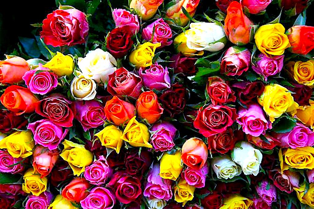 Święto Kobiet to dzień wdzięczności