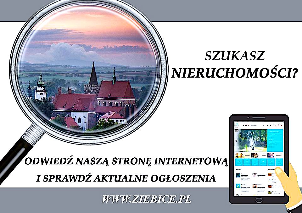 Postępowania dotyczące nieruchomości Gminy Ziębice