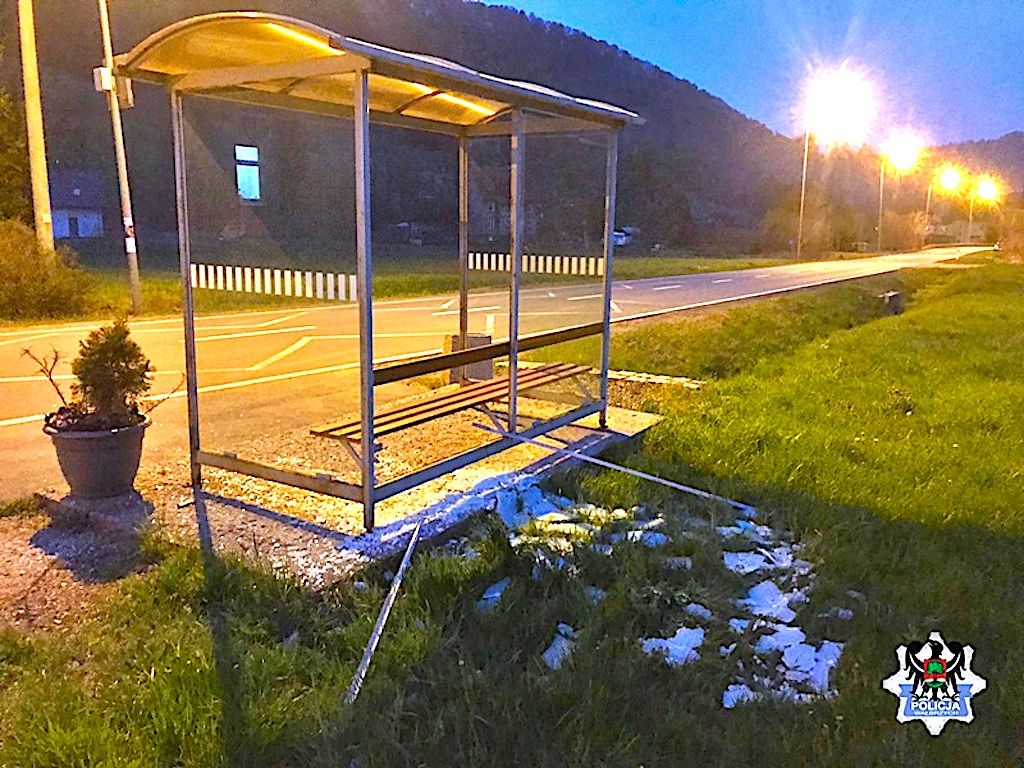 Bezmyślna niszczycielska siła – kara musi być nieuchronna