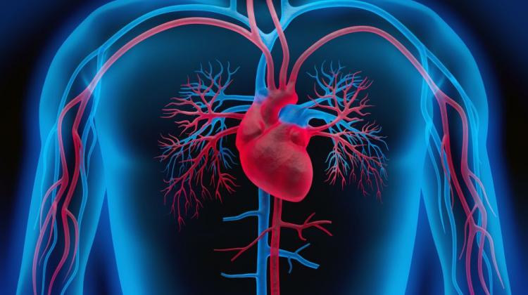 Program opieki nad osobami po zawale serca – odpowiedź samorządu Dolnego Śląska na bardzo pilną potrzebę społeczną