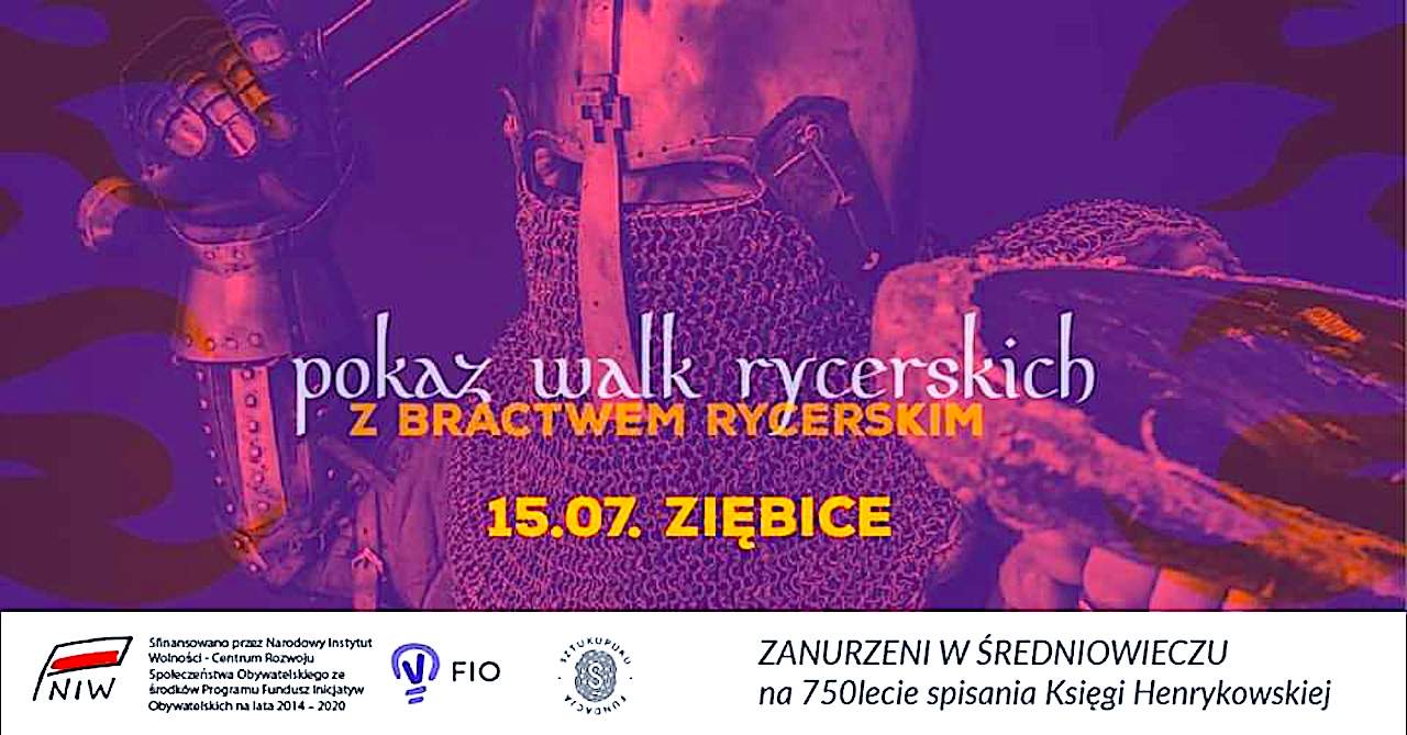 Rycerskie spotkania w Ziębicach