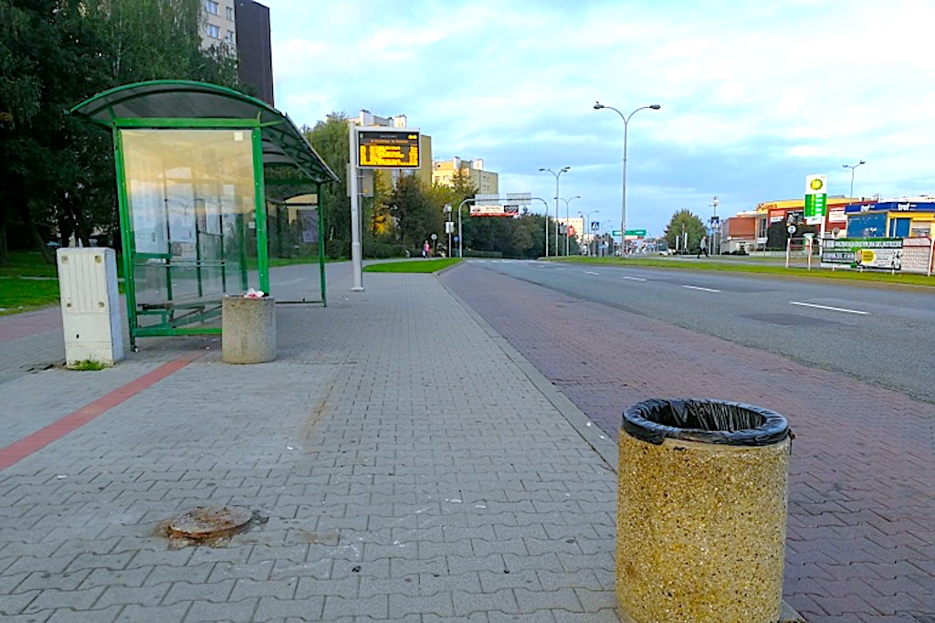 Wandale – recydywiści – zaczęli od mandatu, skończą za kratkami