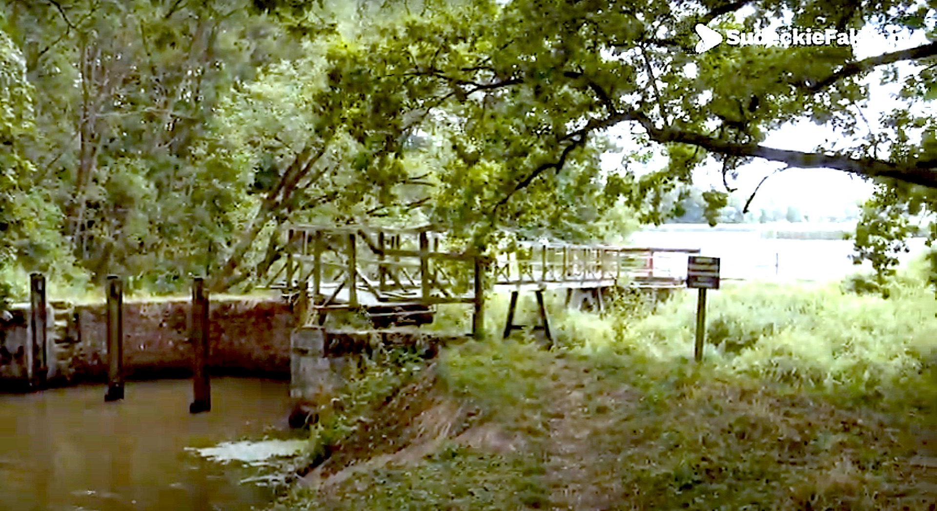 Barycz uratowana, ale odbudowa ekosystemu potrwa długo – pomoc samorządu wojewódzkiego była nieodzowna [VIDEO]