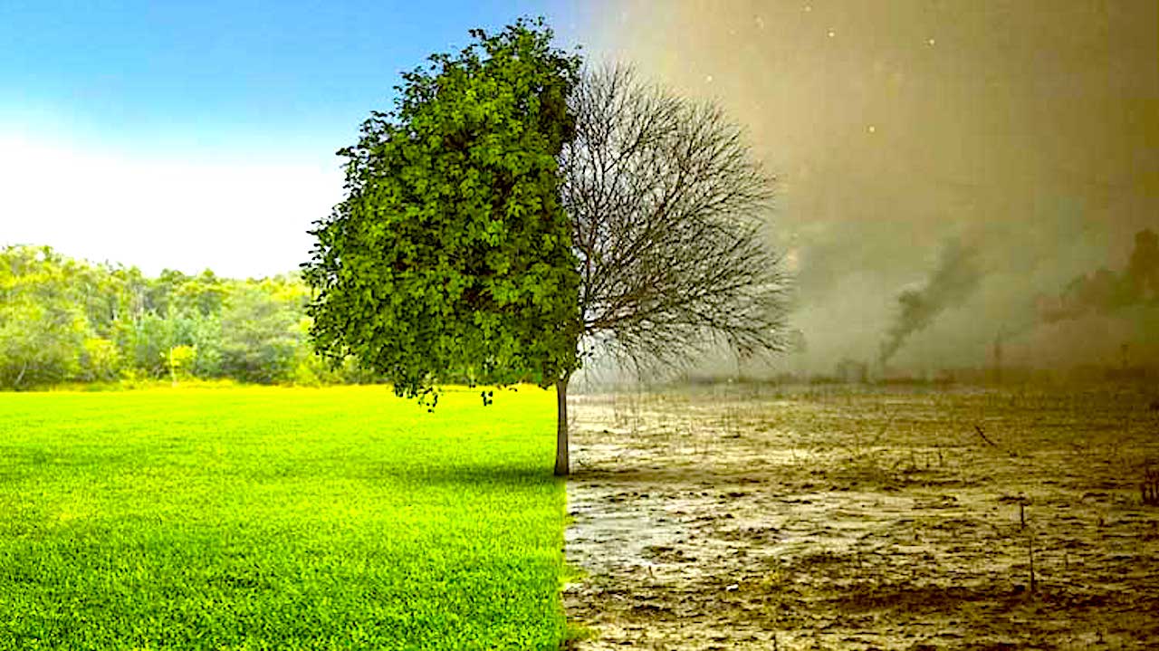 Korzystna zmiana w programie „Czyste Powietrze” – będzie łatwiej kwalifikować zielone urządzenia i materiały