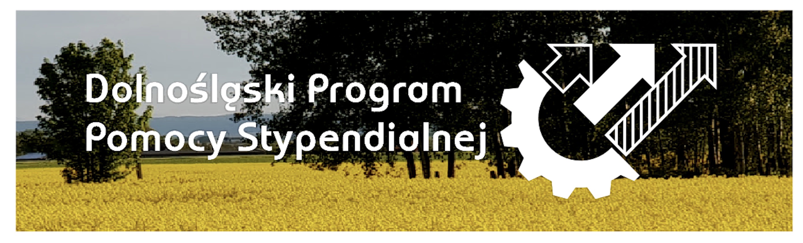 10 milionów złotych na stypendia dla uczniów szkół zawodowych – samorząd Dolnego promuje podnoszenie kwalifikacji