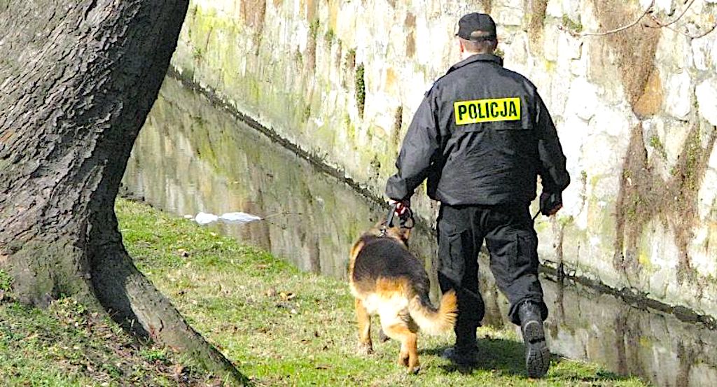 Chłopczyk nagle zniknął z placu zabaw – uczmy dzieci reagowania na sytuację zagrożenia