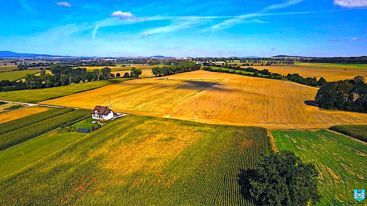 Fundusz Sołecki 2021 – zdecyduj na co zostanie przeznaczony!