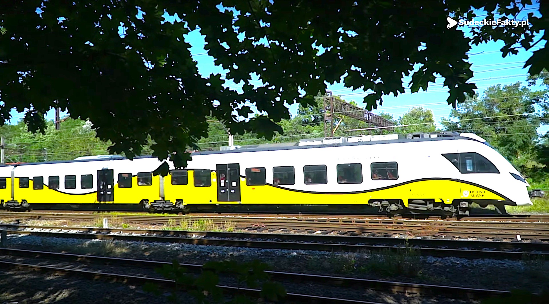 Kolej na normalność w Kolejach Dolnośląskich – pociągi wróciły, a przewoźnik dba o bezpieczeństwo podróżnych [VIDEO]