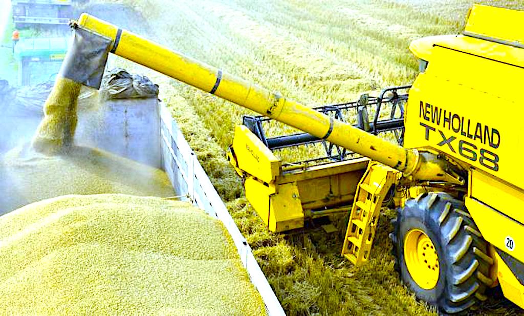 Komitet Regionów wskazuje, że transformacja produkcji rolnej potrzebuje ambitnego budżetu Wspólnej Polityki Rolnej – celem jest strategia „od pola do stołu”