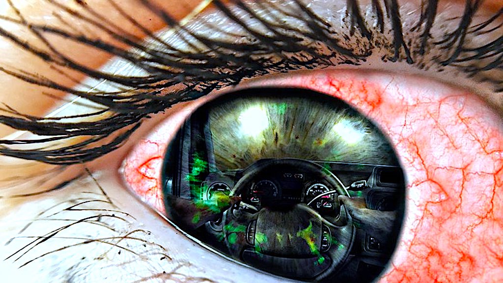 Na haju i wbrew zakazom – prawo jest nadal zbyt łagodne?