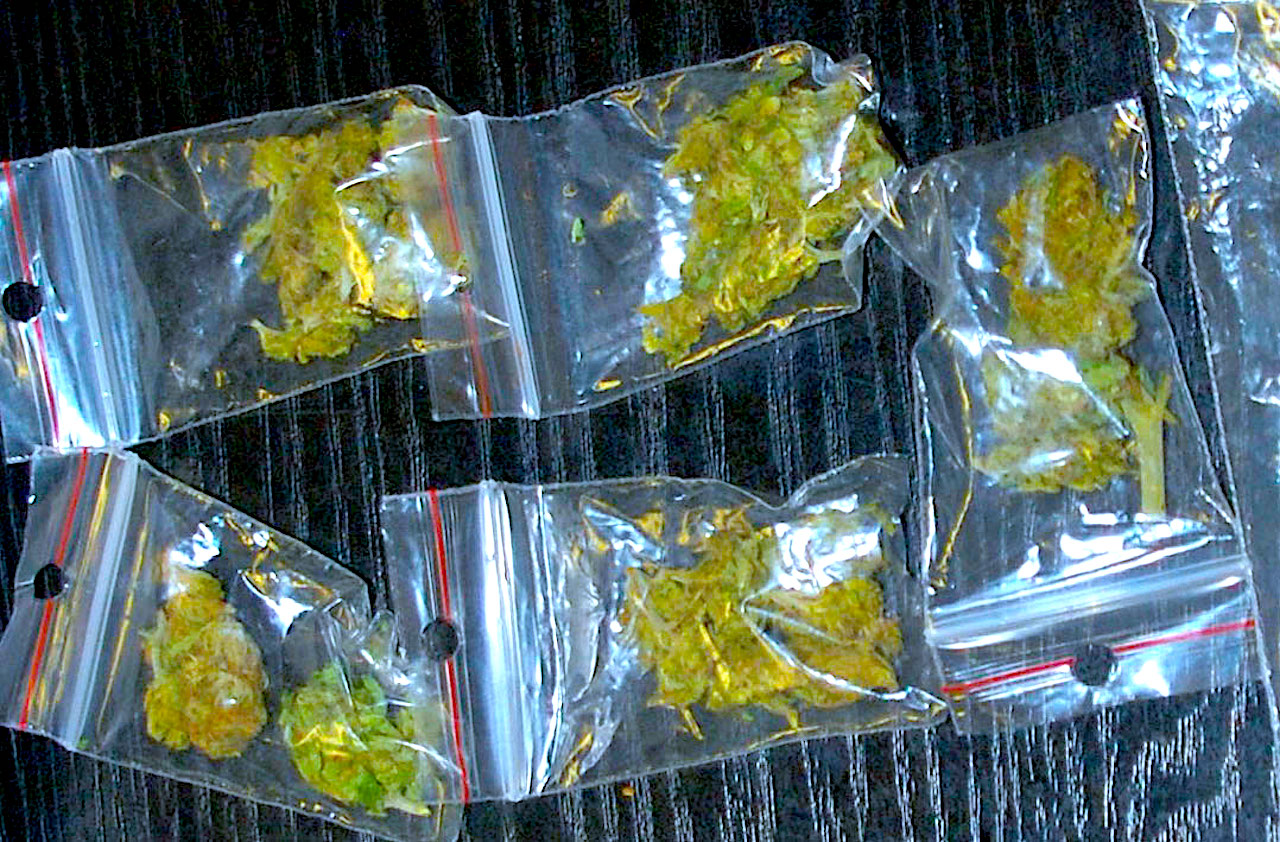 Narkotykowe wpadki – podczas jazdy, w trakcie nocnej awantury, przy podlewaniu „ziółek”