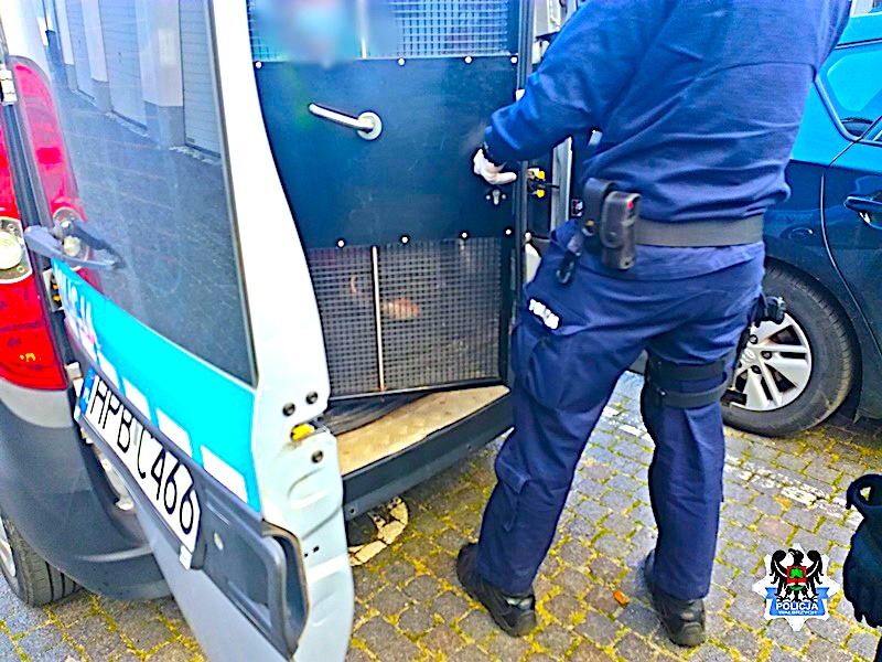 Pijanych na pęczki – co się dzieje na drogach, to przechodzi ludzkie pojęcie