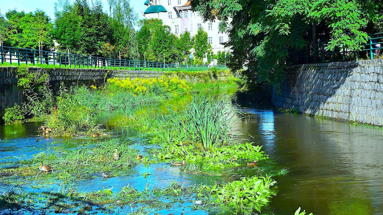 Rzeka Piława będzie udrożniona – nie chodzi tylko o estetykę…