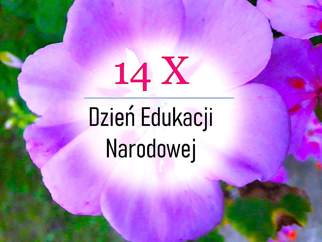 Dzień Edukacji Narodowej 2020