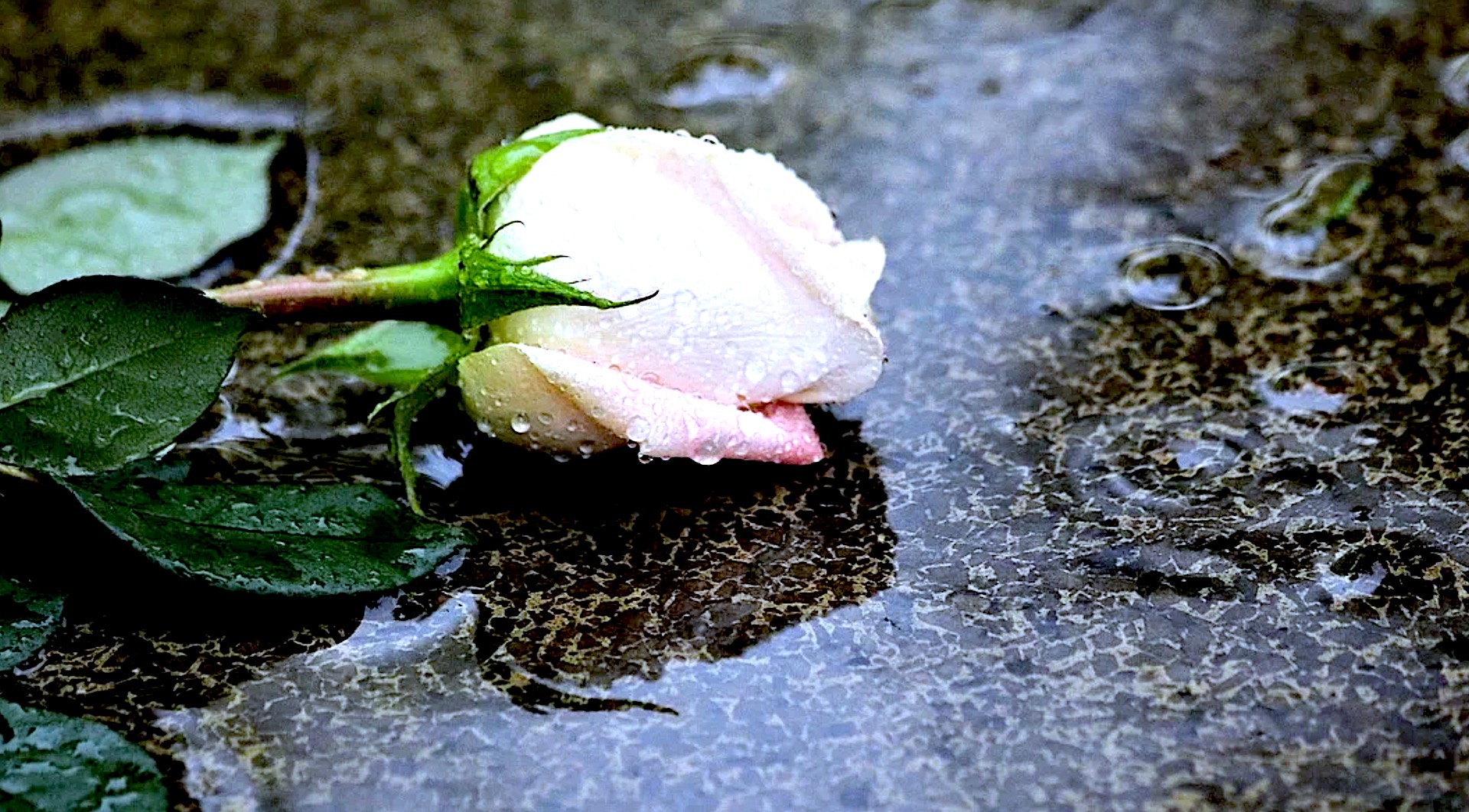 Otaczamy współczuciem – kondolencje dla Dyrektora Zespołu Szkół nr 2 w Kamieńcu Ząbkowickim