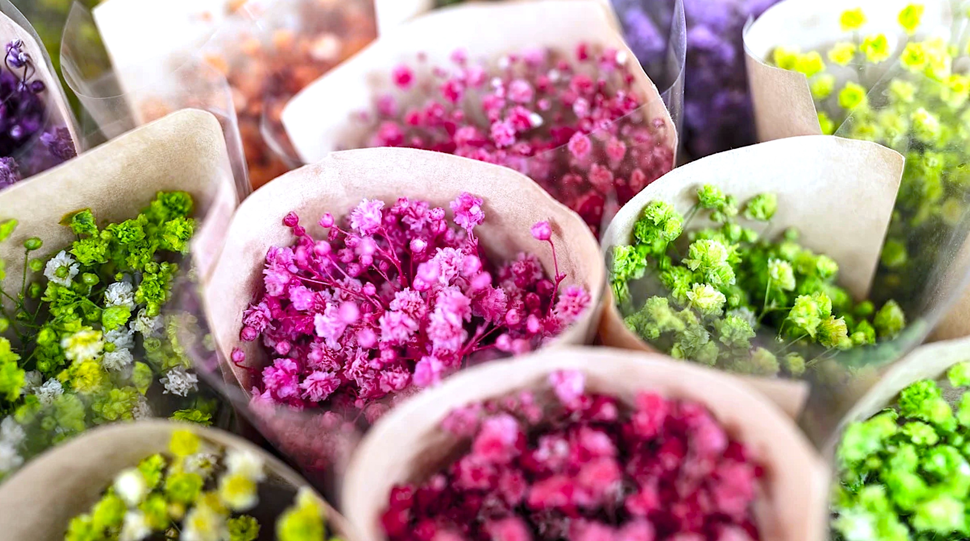 „Zacną rzeczą jest uczyć się, lecz jeszcze zacniejszą – nauczać.”