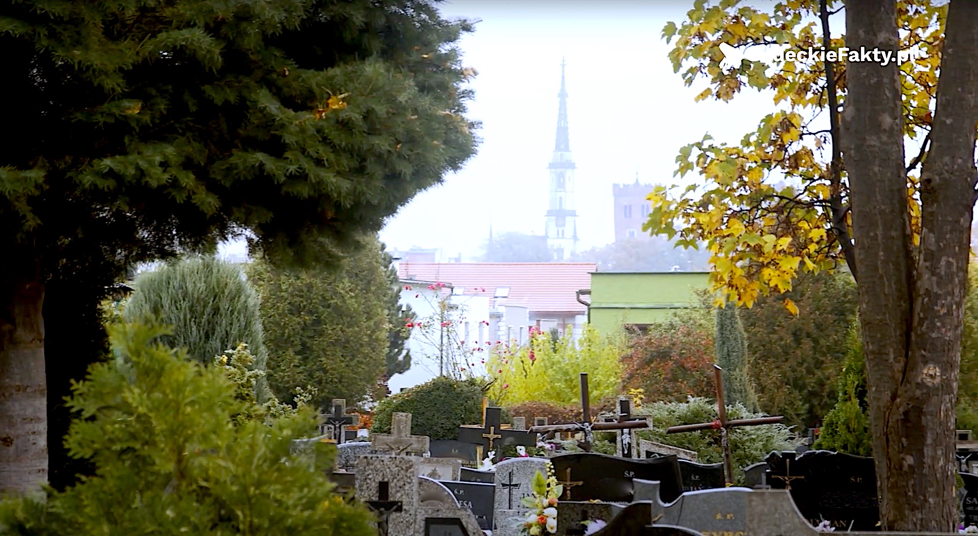 Zaduszki – trwa pamięć [VIDEO]