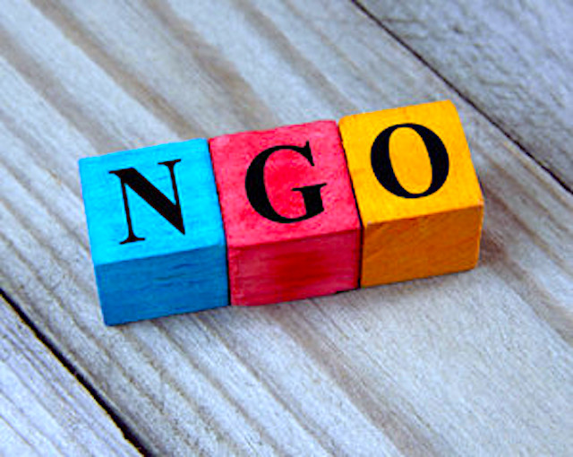 Informacja Burmistrza Ziębic o wynikach konsultacji