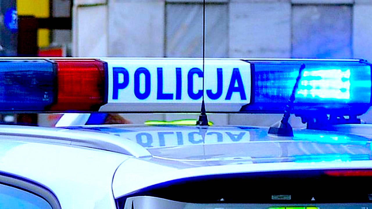 Mały „Ares” uratowany – drogowi piraci zatrzymani