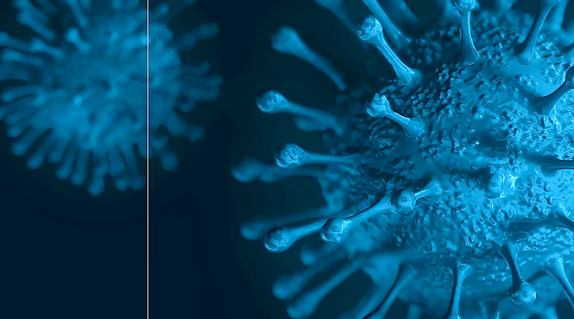 S-ION – nowy produkt zapobiegający rozprzestrzenianiu się i transmisji wirusów i bakterii