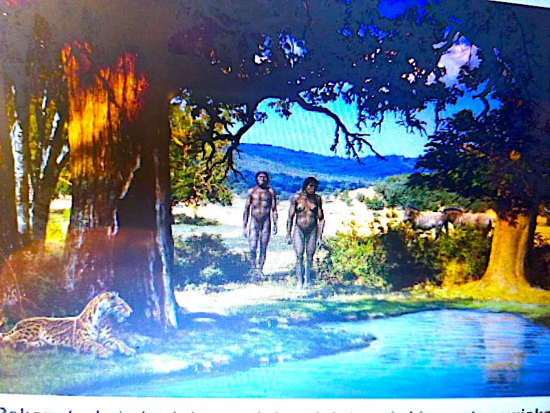 Edukacja może być pasjonująca – druga edycja Bielawskiej Nocy z Biologią