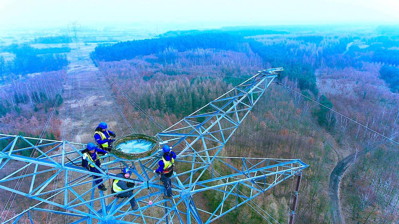 Polskie Sieci Energetyczne i Lasy Państwowe ponownie zadbają o bezpieczeństwo rybołowów [VIDEO]