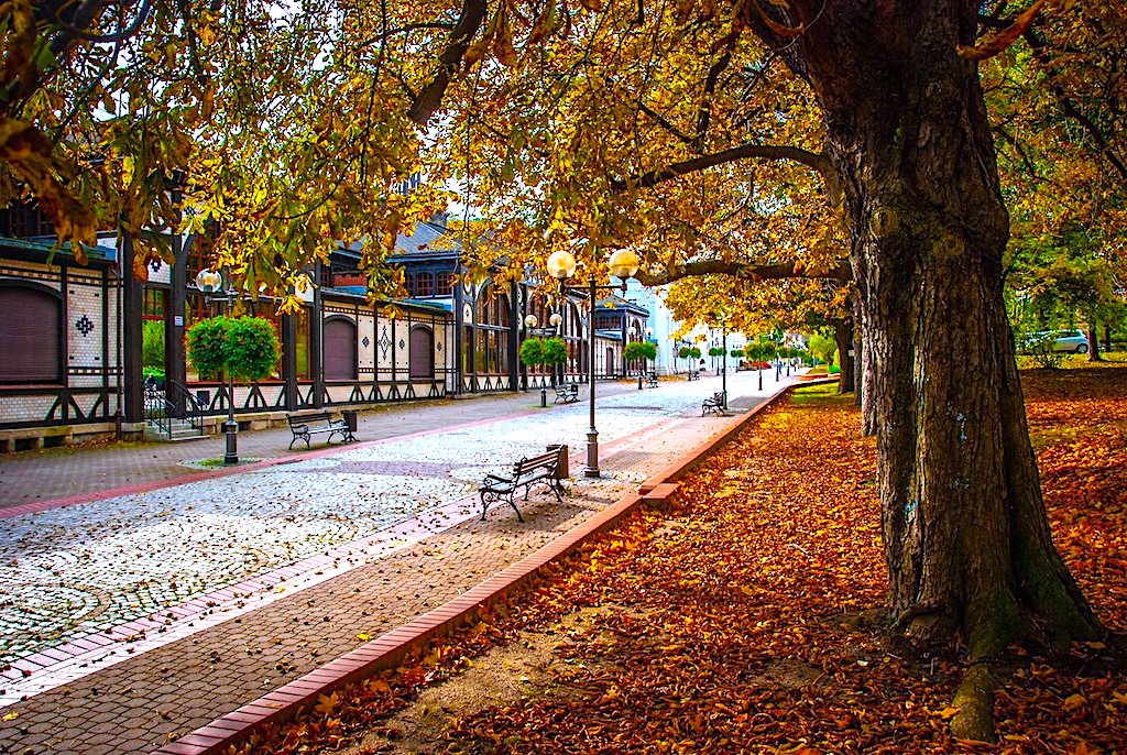 Rozwój gospodarczy, społeczny i ochrona środowiska – Szczawno-Zdrój wśród krajowych liderów