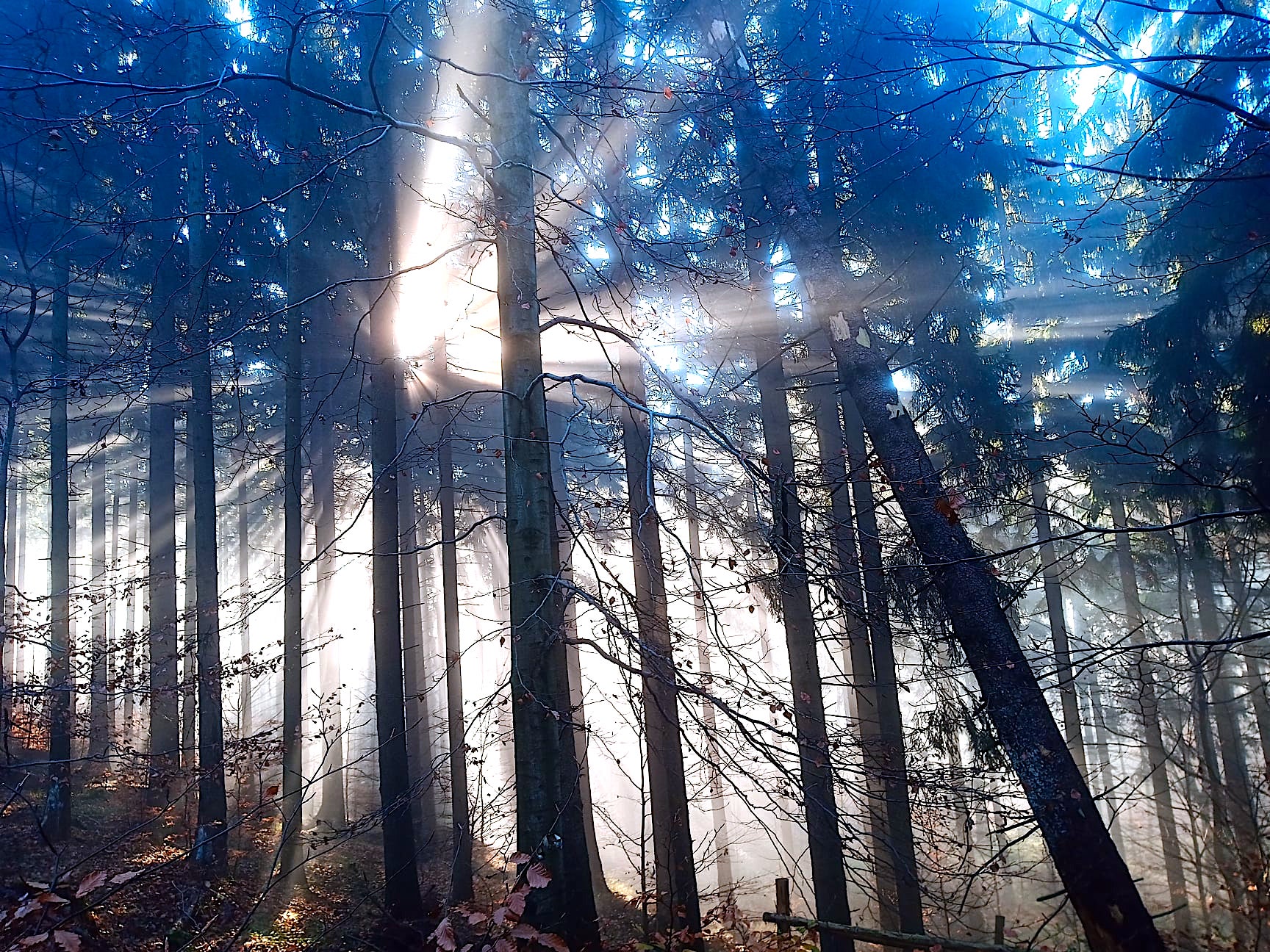 Szlaki górskie nie straciły na popularności – Park Narodowy Gór Stołowych wciąż przyciąga turystów