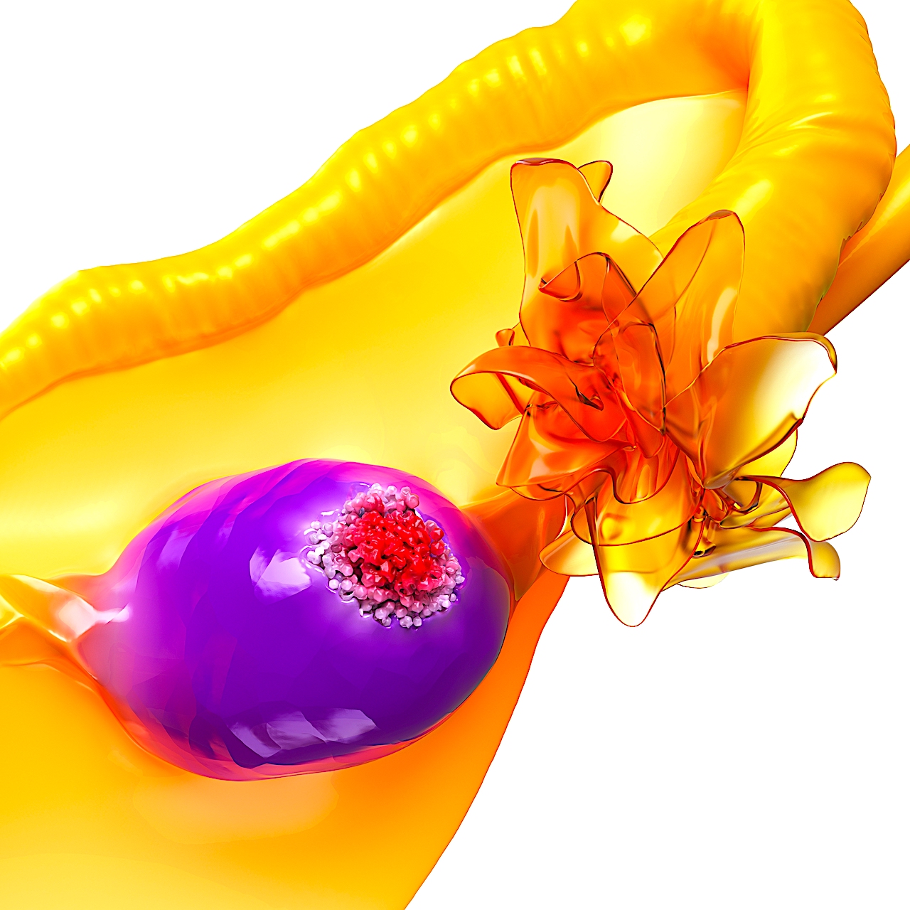 Nowe perspektywy leczenia raka jajnika