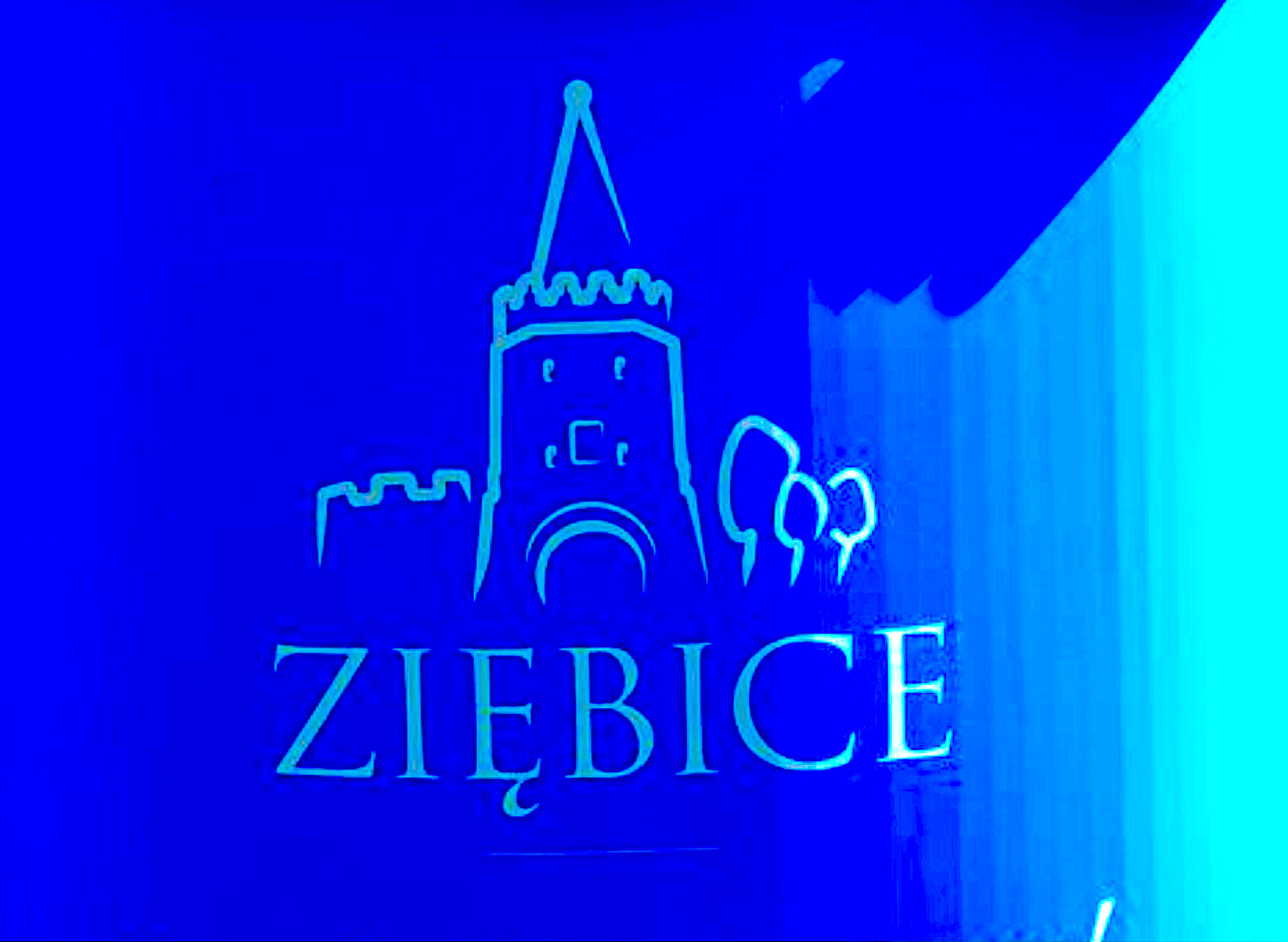 Obwieszczenie Burmistrza Ziębic