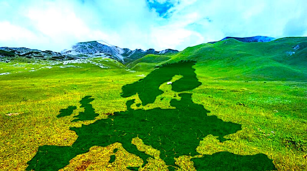 Odpowiednie finansowanie i współpraca kluczowe dla realizacji Europejskiego Zielonego Ładu [VIDEO]