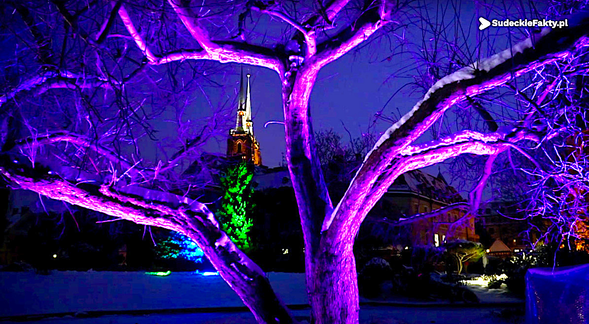 Idealne miejsce na spacer dla kochających i kochanych – czar światła i przyrody (już tylko w sobotę i niedzielę) [VIDEO]