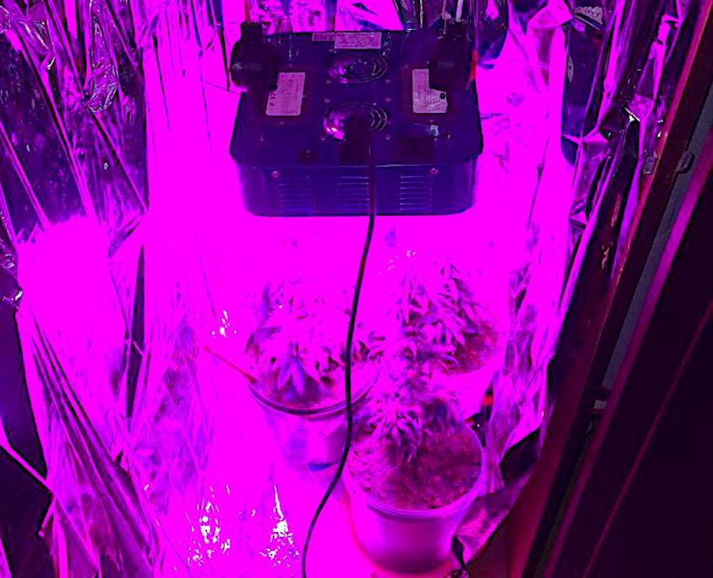 Światełko w szafie i spotkanie w piwnicy – wspólny mianownik to…