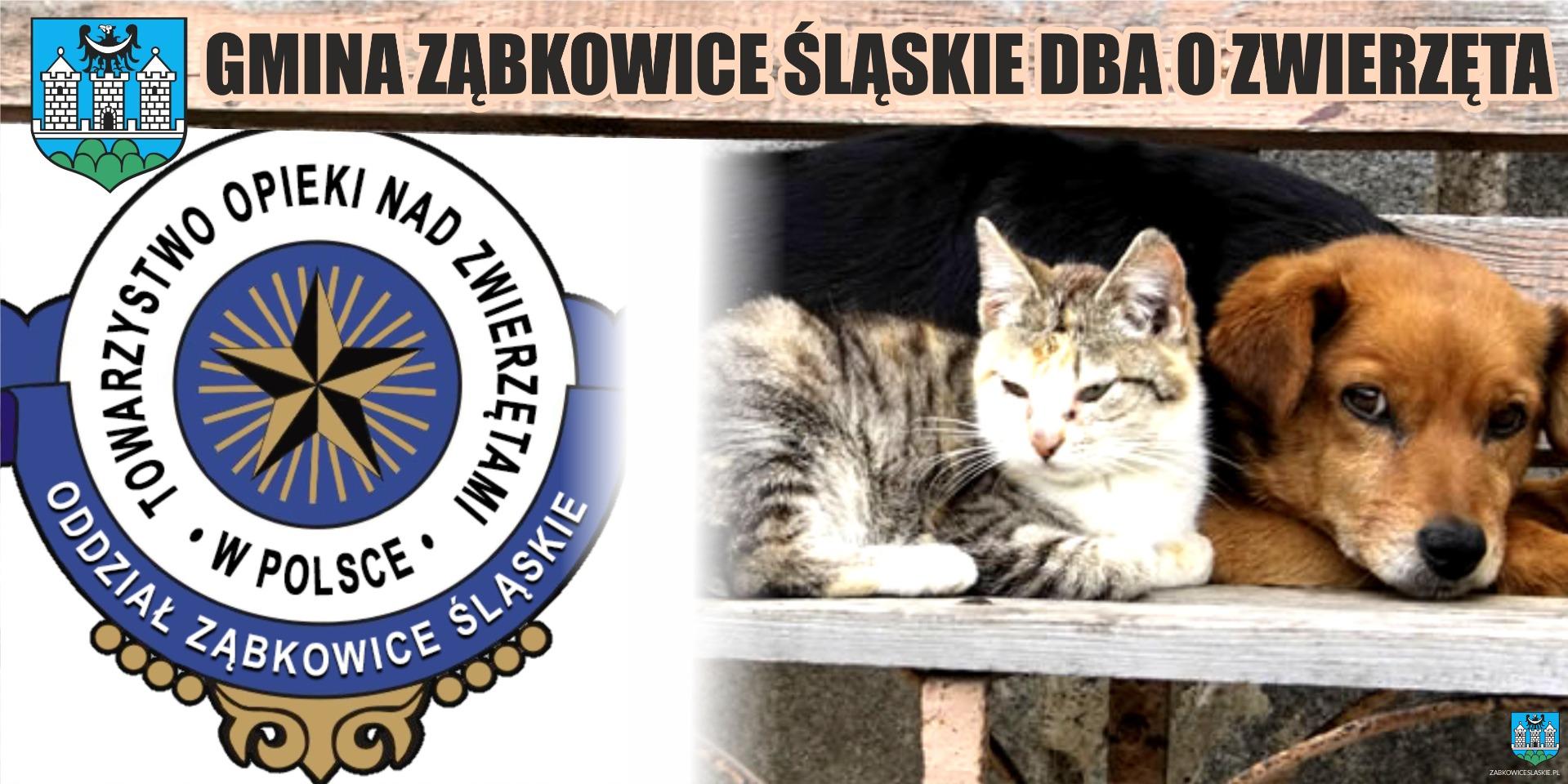 Gmina Ząbkowice Śląskie dba o zwierzęta
