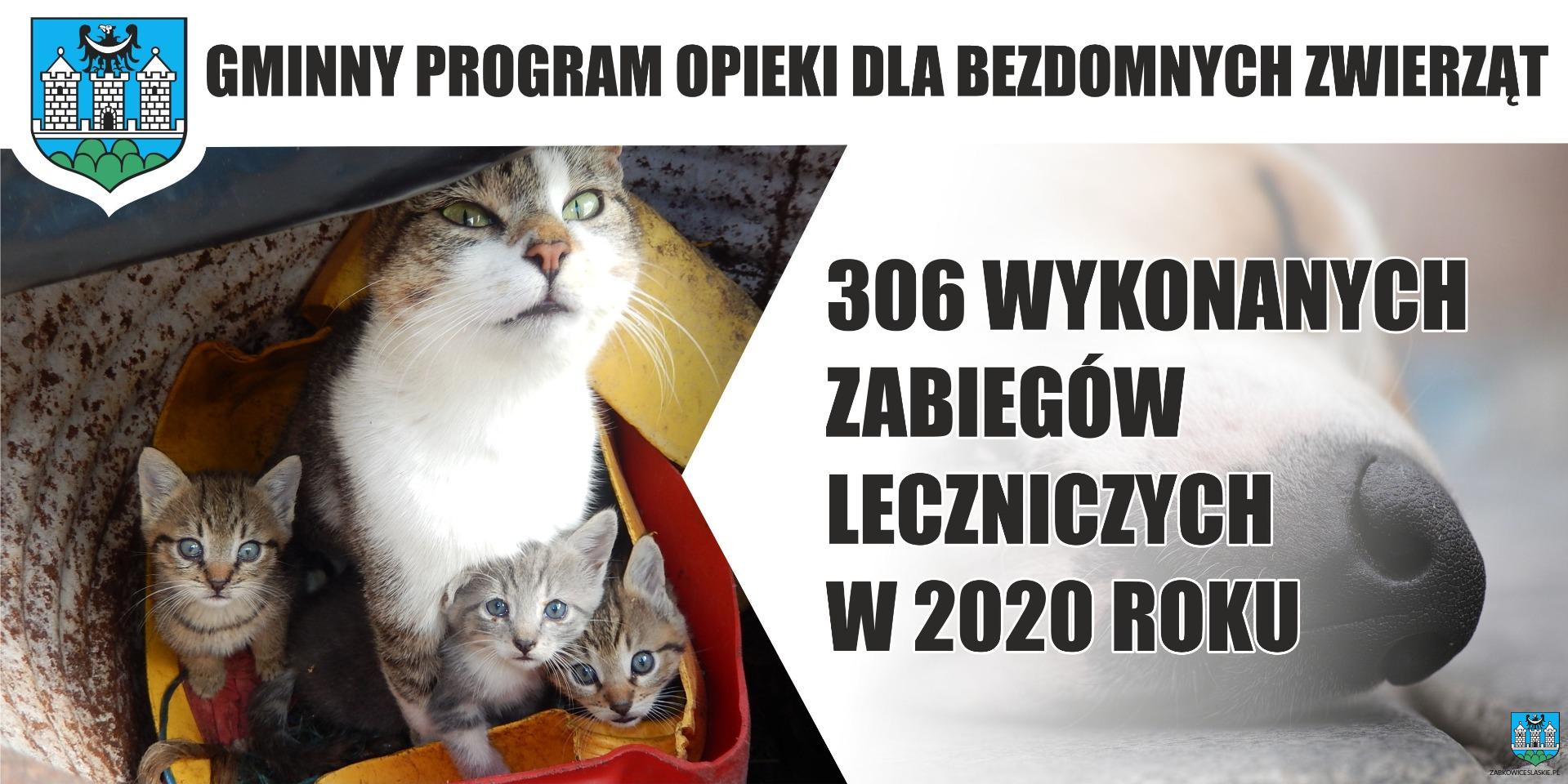 Gminny program opieki nad zwierzętami bezdomnymi