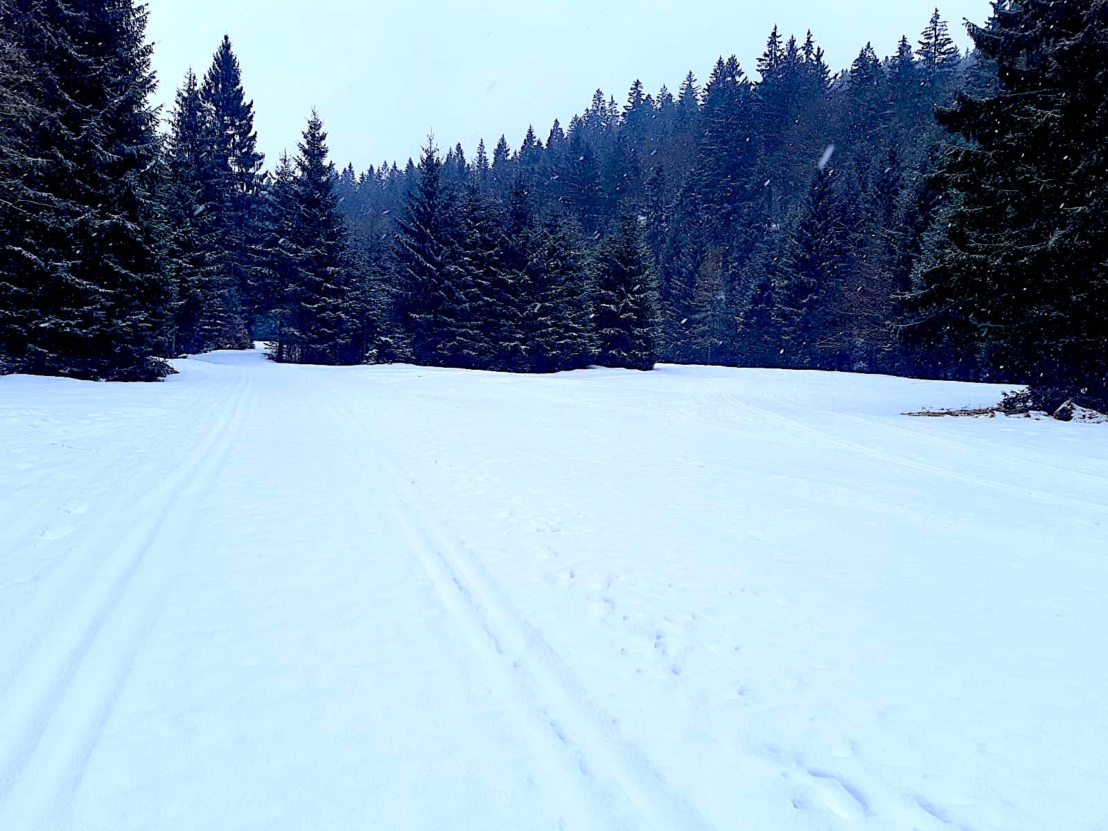 Jeśli weekend na nartach, to wiemy, gdzie… gmina Stronie Śląskie zaprasza