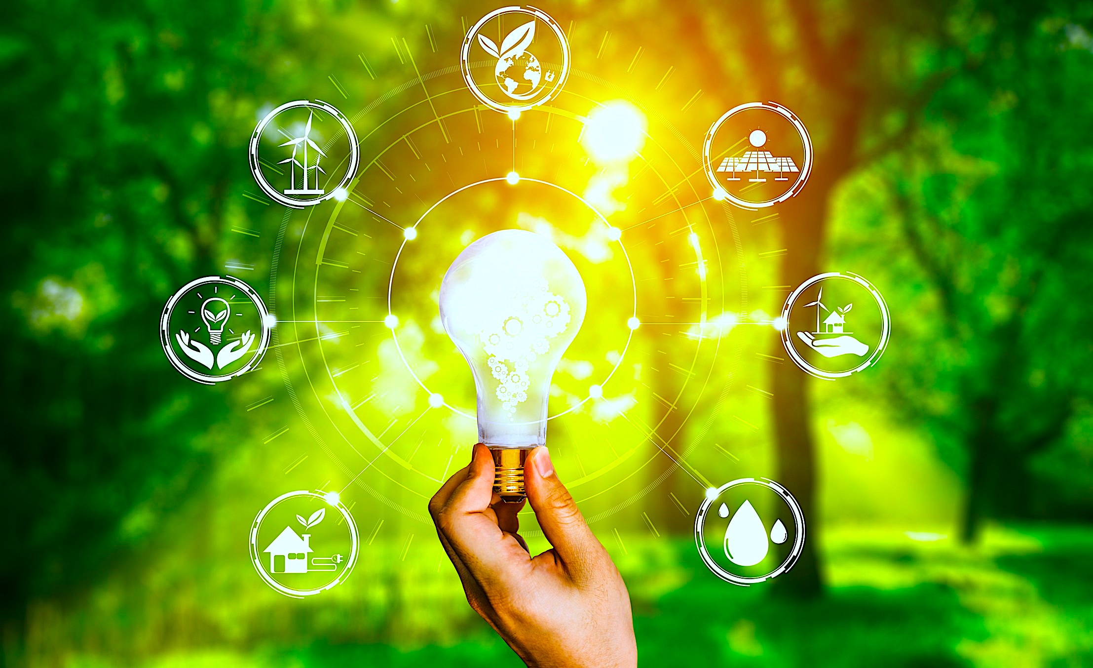 PKO Bank Polski współfinansuje budowę jednej z największych farm fotowoltaicznych w Polsce